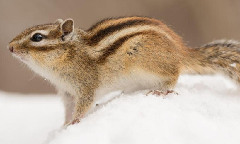 西安信息发布平台轮播图4