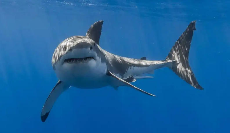 西安信息发布平台轮播图3