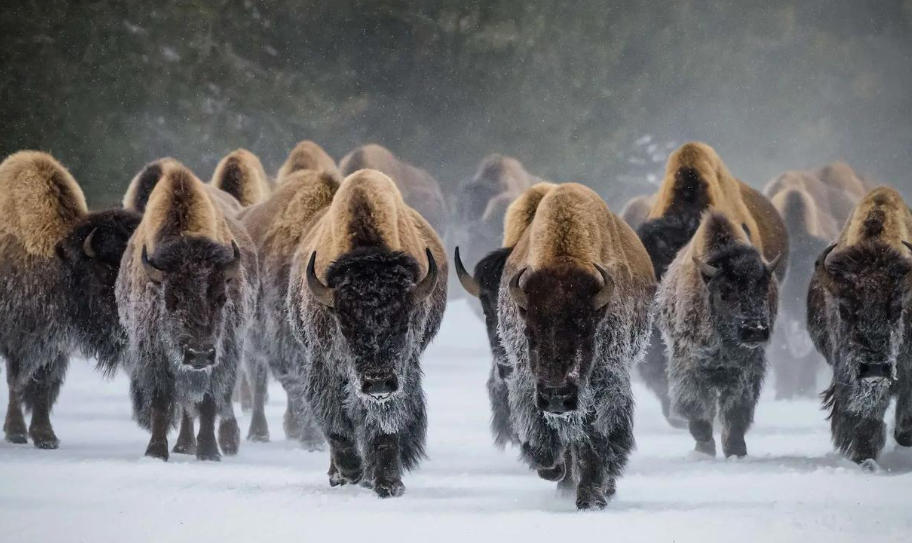 西安信息发布平台轮播图1